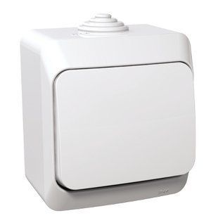 Вимикач 1-кл. IP44 білий Cedar Plus (WDE000510) WDE000510 фото