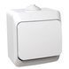Вимикач 1-кл. IP44 білий Cedar Plus (WDE000510) WDE000510 фото