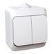 Вимикач 2-кл. IP44 білий Cedar Plus (WDE000550) WDE000550 фото