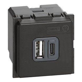 Зарядний пристрій USB Тип A-С 3000мА 2 модуля Bticino LIVING NOW (K4287C2) K4287C2 фото