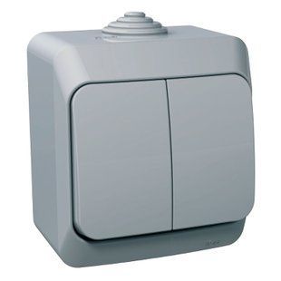 Вимикач 2-кл. IP44 сірий Cedar Plus (WDE000650) WDE000650 фото