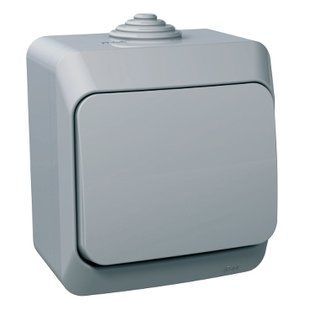 Перемикач 1-кл. IP44 сірий Cedar Plus (WDE000660) WDE000660 фото