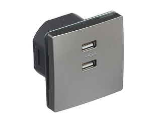 Розетка 2-на USB SIEMENS DELTA Style 250V, 2100 mA платина металік (13780PM) 13780PM фото