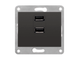 Розетка USB подвійна 250V 2.1A SIEMENS DELTA Iris чорний коссо (5TG2022-1-AС) 5TG2022-1-AС фото